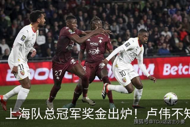 上海队总冠军奖金出炉！卢伟不知道怎么分，张镇麟和王哲林谁多